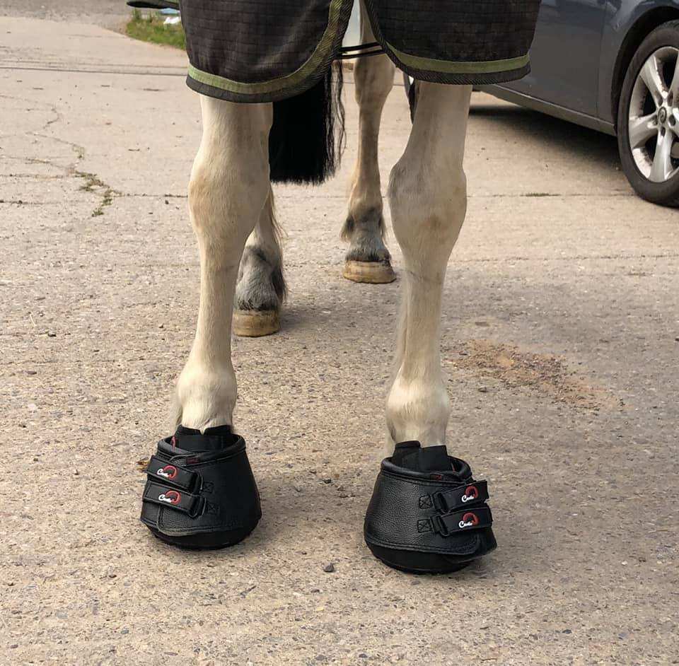 Horse boots